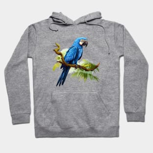 Hyacinth Macaw Hoodie